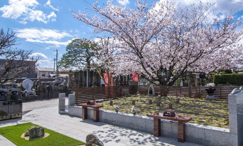 深廣寺 永代供養墓・樹木葬